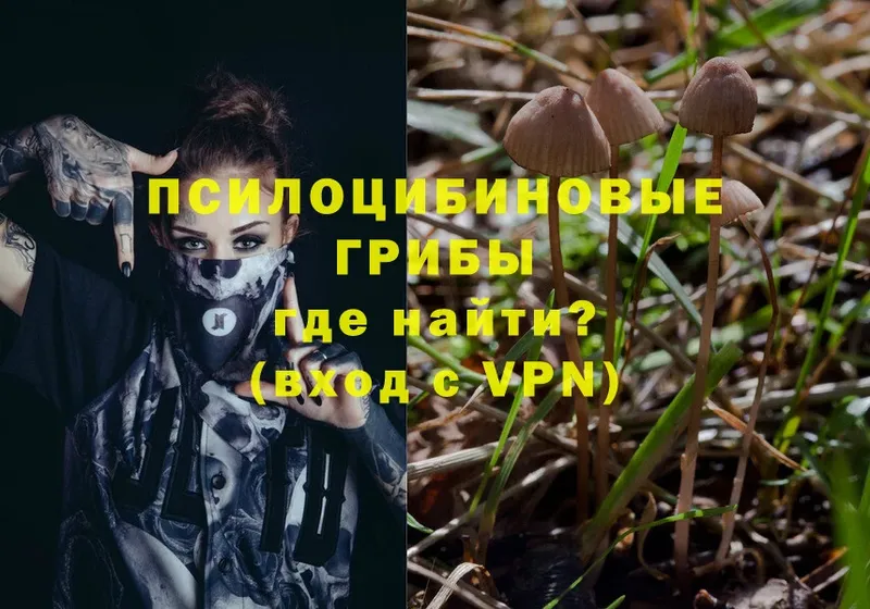 наркошоп  Дорогобуж  МЕГА маркетплейс  Галлюциногенные грибы Psilocybe 